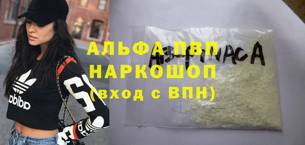 амф Белокуриха