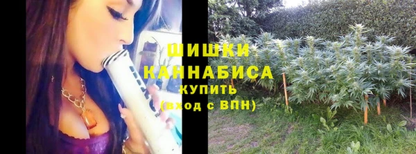 PSILOCYBIN Тында