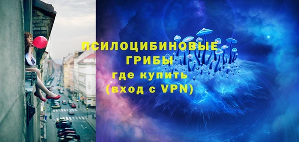 амф Белокуриха
